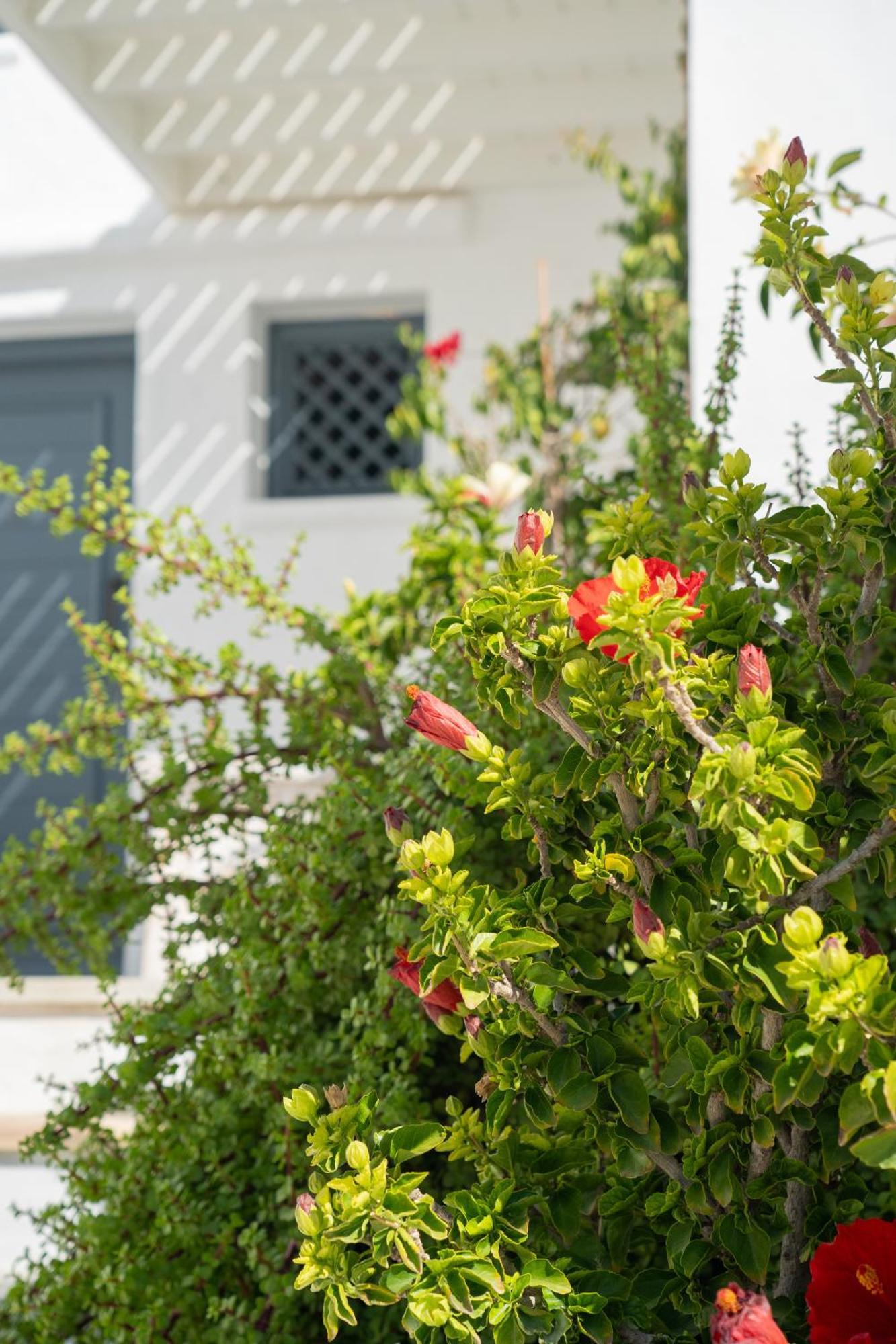 5 Traditional Suites Livadi  Bagian luar foto